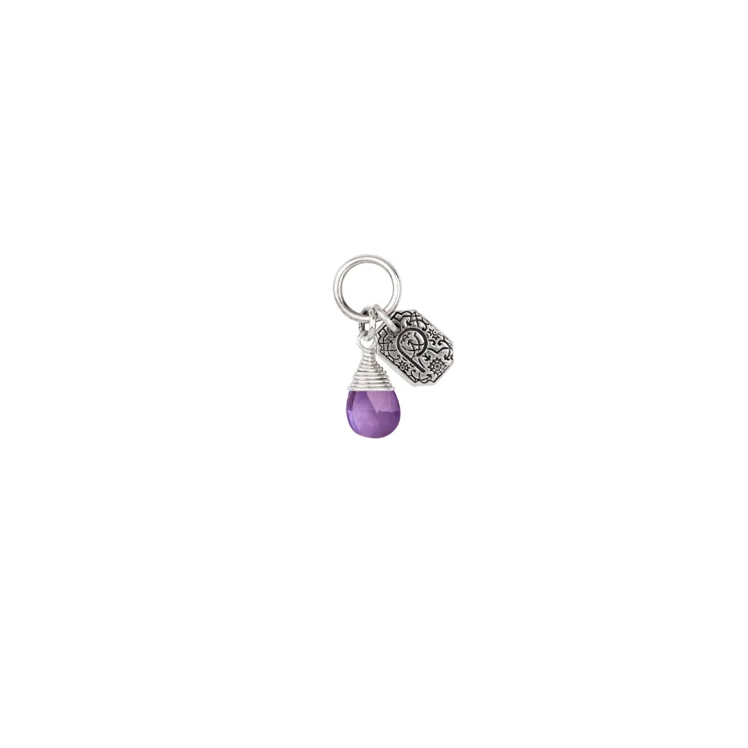 Balance Signature Attraction Charm in Amethyst