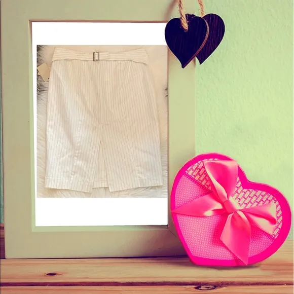 Brand New A.B.S Skirt