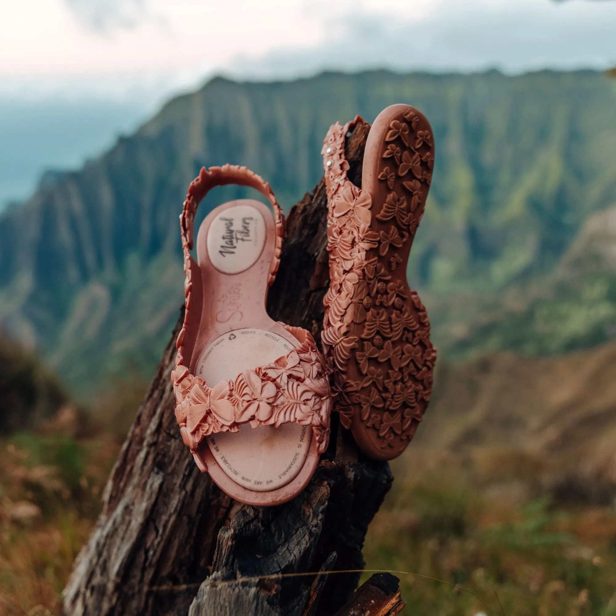 Butterfly Flats Copper