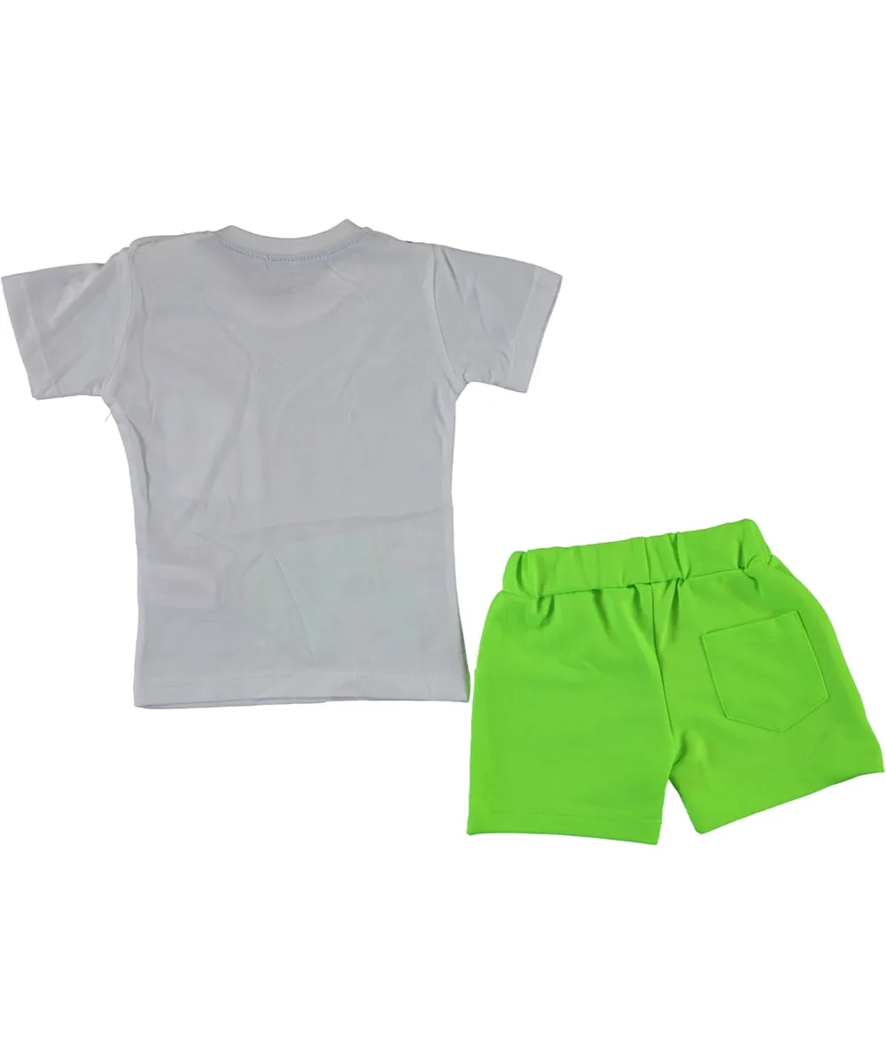 Frog Set