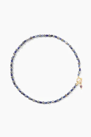 NG-15123LQ- Indira Toggle Necklace