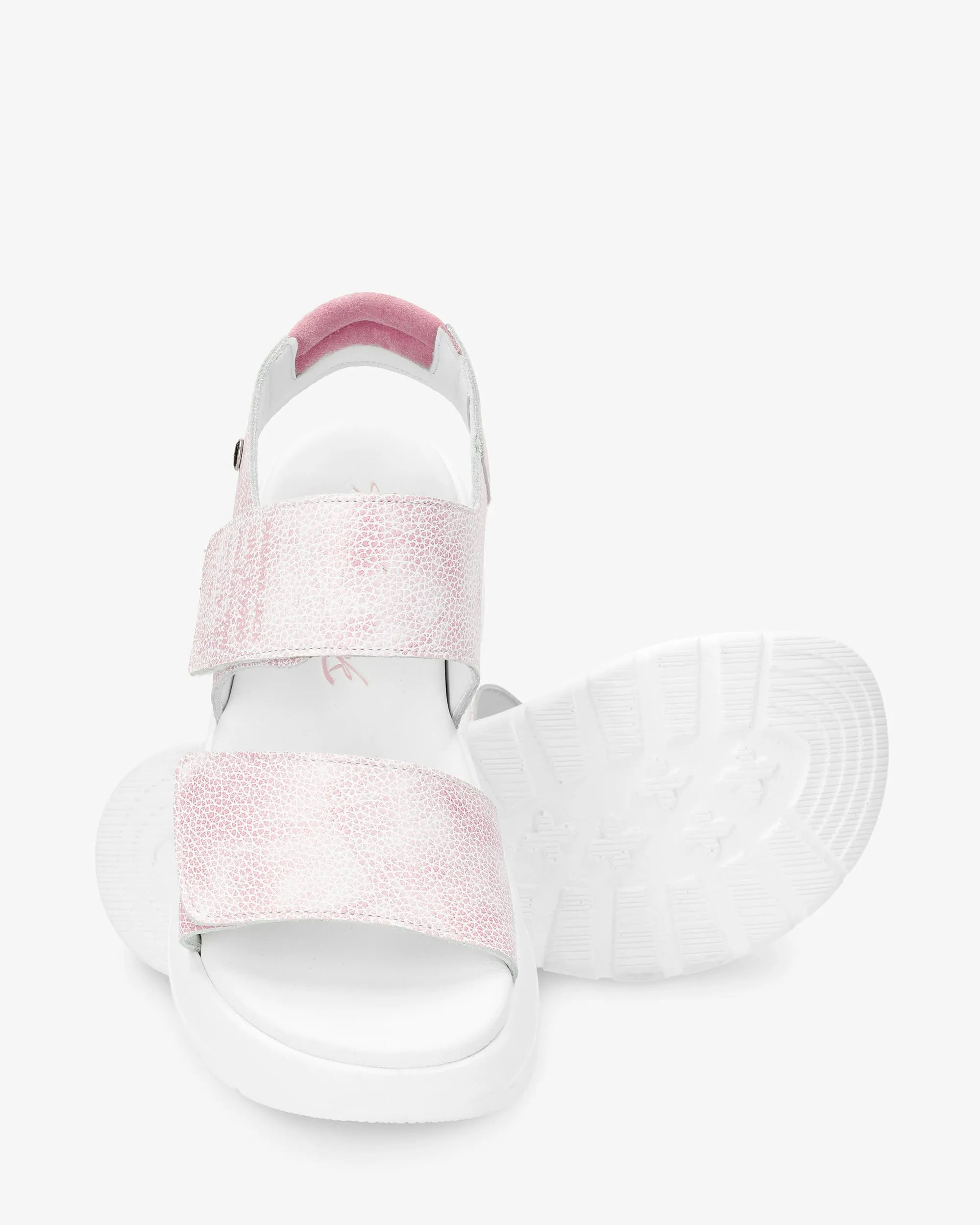 Noah B7 Napa Rosa