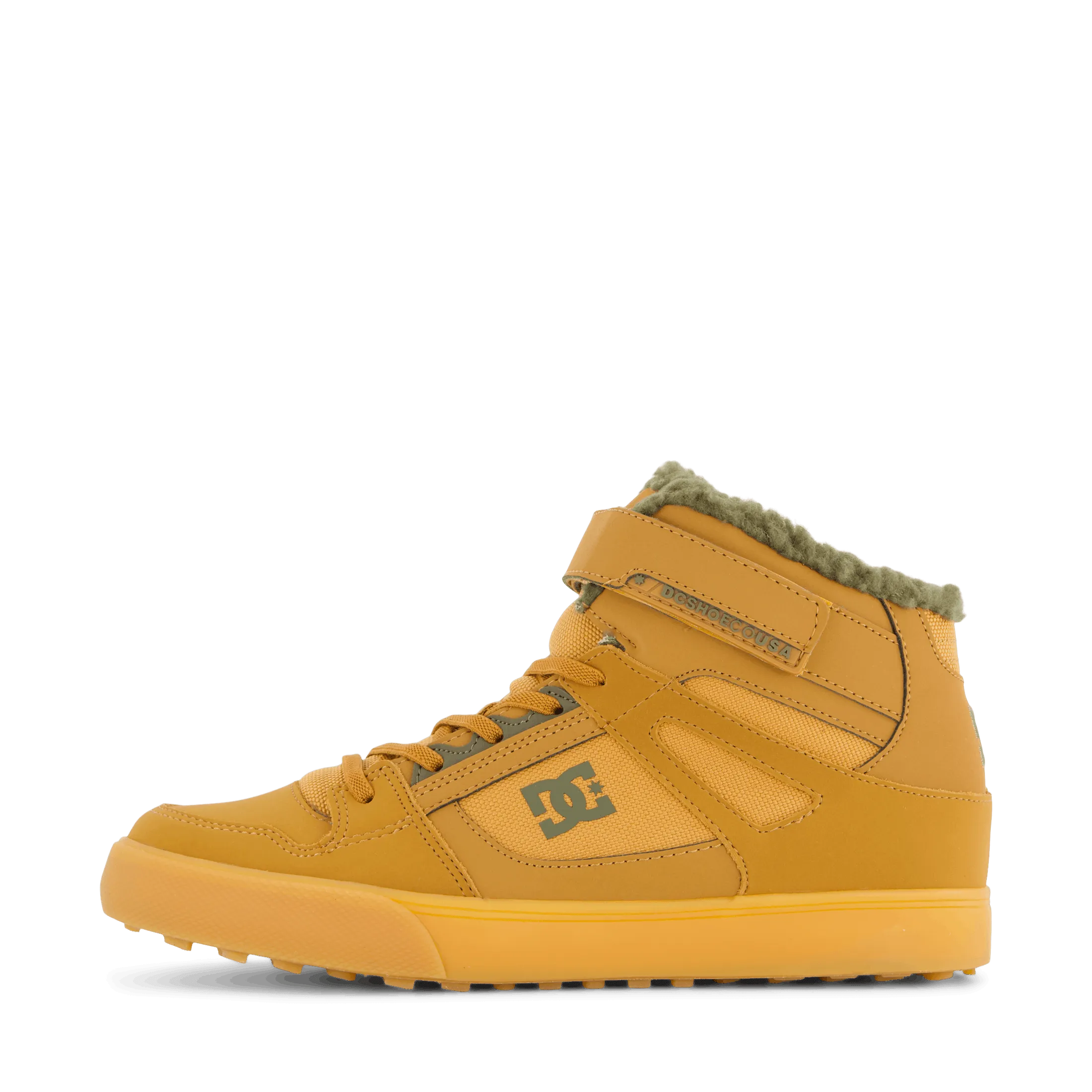 Pure High-top Wnt Ev Wheat