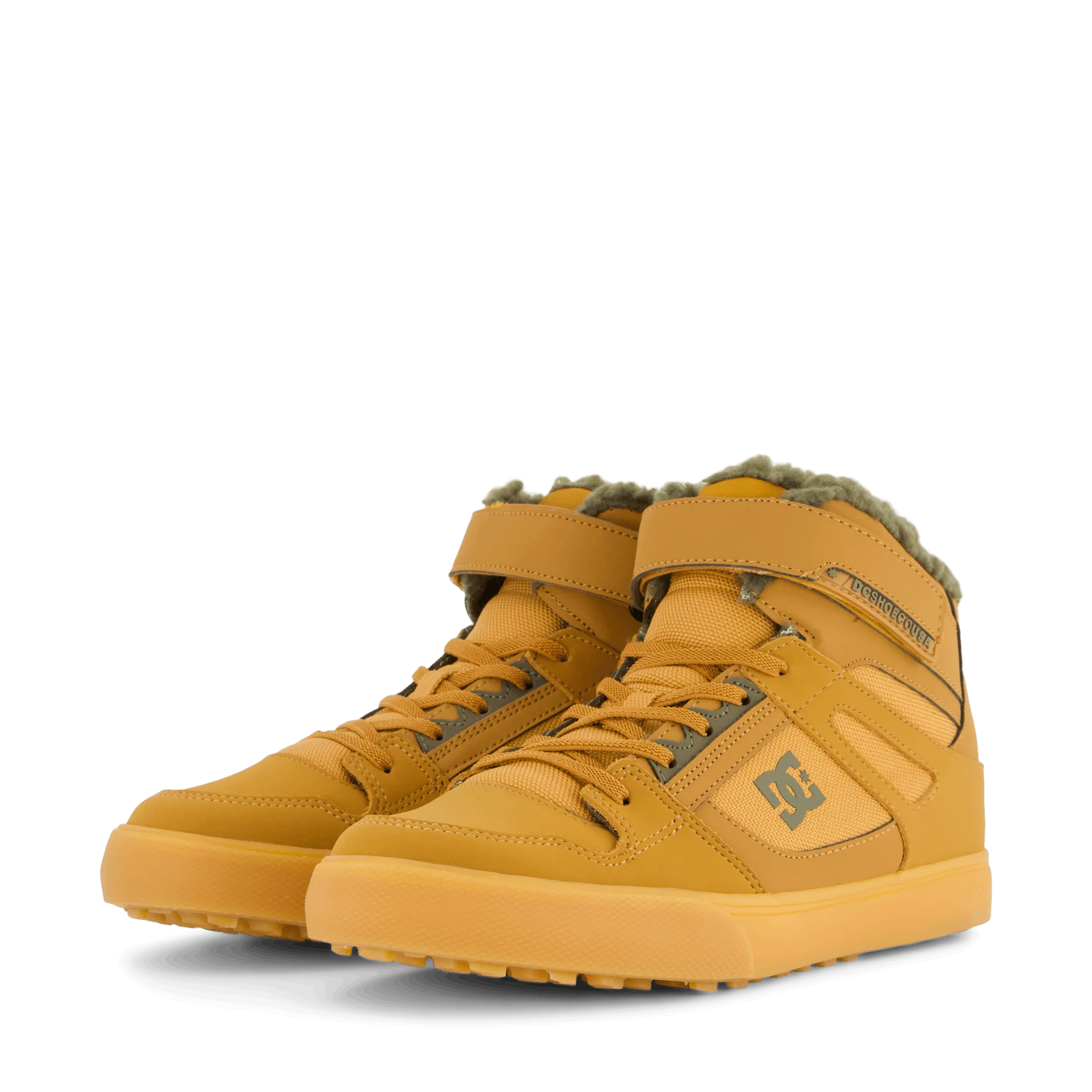 Pure High-top Wnt Ev Wheat